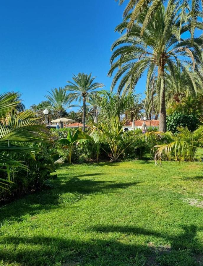 Sun Club P65 Premium Bungalow Maspalomas  Exteriör bild