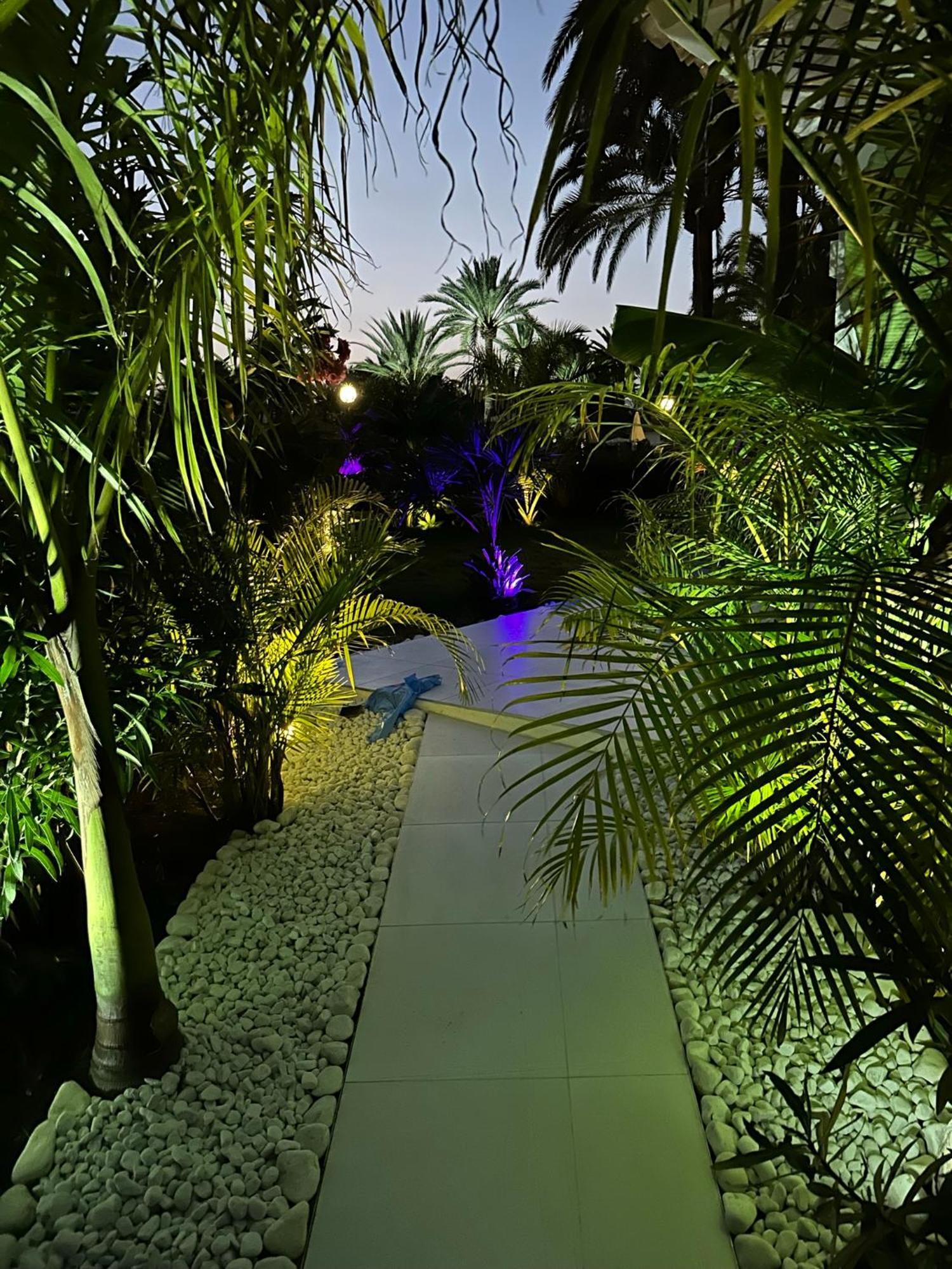 Sun Club P65 Premium Bungalow Maspalomas  Exteriör bild